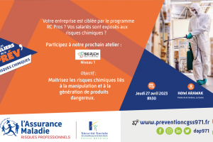 Découverte de l'outil SEIRICH NIV 1 Pour évaluer et maîtriser les risques